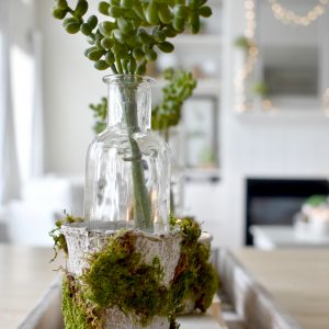 Spring Mossy Pots thumbnail