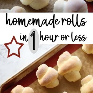 Homemade Rolls in 1 hour Guaranteed thumbnail