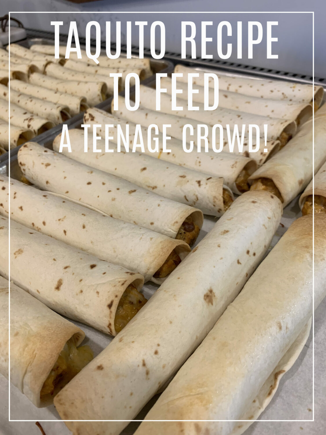 Taquito Recipe for Teenage Crowd