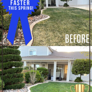 Step by Step How to Green up your Lawn Faster this Spring thumbnail