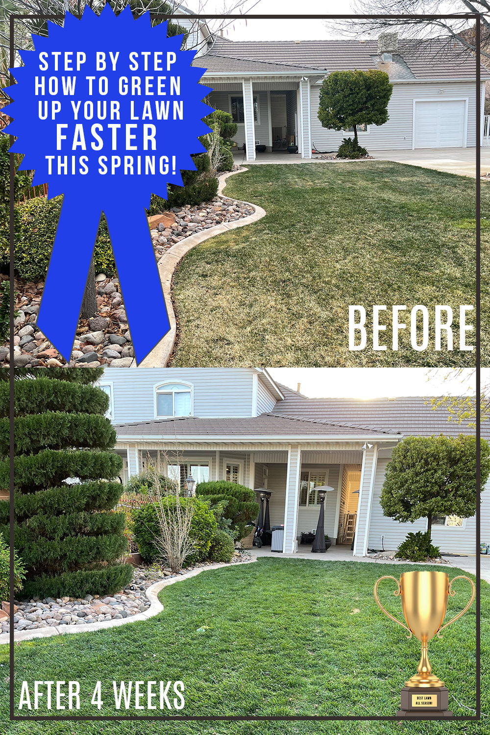 Step by Step How to Green up your Lawn Faster this Spring All Things